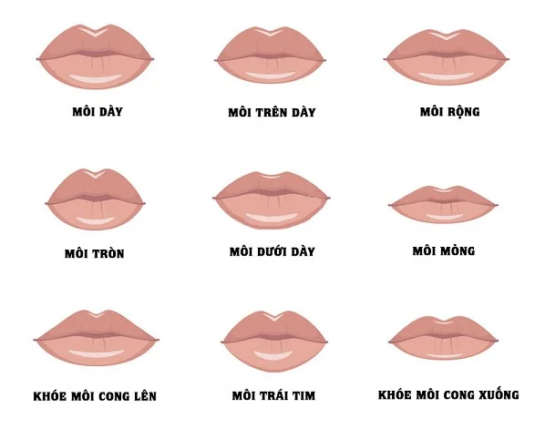 Hình dáng môi